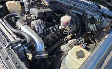 Chevrolet-R10-1987-2