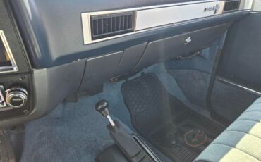 Chevrolet-R10-1987-20