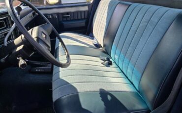 Chevrolet-R10-1987-21