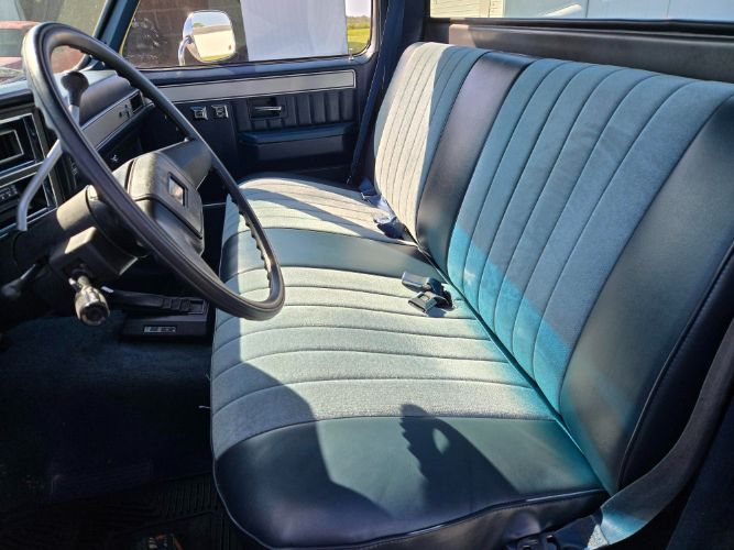 Chevrolet-R10-1987-21