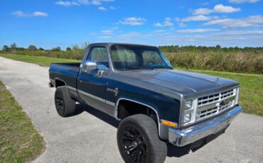Chevrolet-R10-1987-26