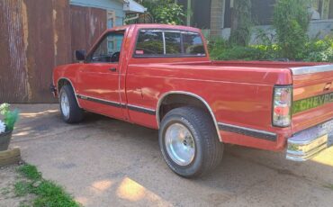 Chevrolet-S-10-1991-2