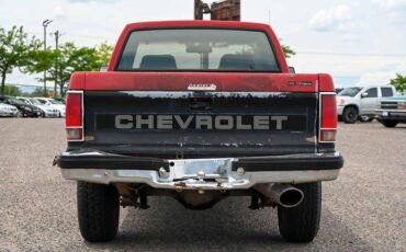 Chevrolet-S-10-pickup-1991-1