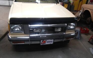 Chevrolet-S10-1982-1