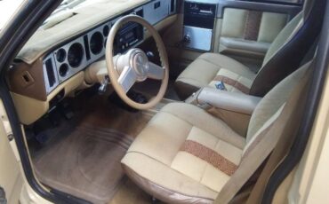Chevrolet-S10-1982-2