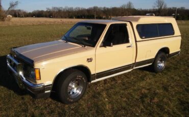 Chevrolet-S10-1982-4