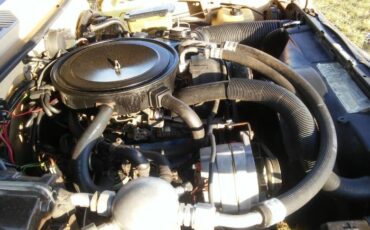 Chevrolet-S10-1982-5