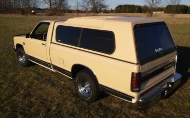 Chevrolet-S10-1982-6
