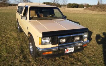 Chevrolet-S10-1982-7