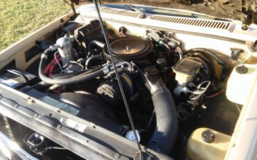 Chevrolet-S10-1982-9