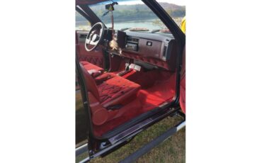 Chevrolet-S10-1991-BlackMulti-Red-5