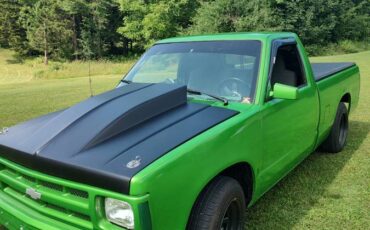 Chevrolet-S10-1991-green