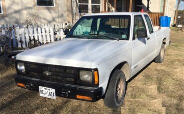Chevrolet-S10-1993-White-Gray