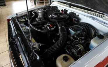 Chevrolet-S10-Blazer-1987-SUV-31