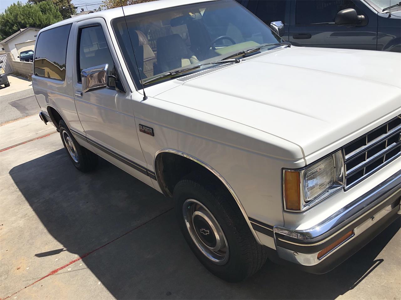 Chevrolet-S10-blazer-1988-White-Beige-1