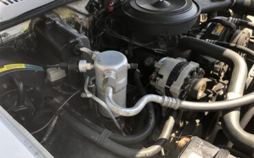 Chevrolet-S10-blazer-1988-White-Beige-14