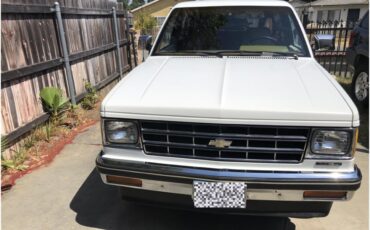Chevrolet-S10-blazer-1988-White-Beige-2