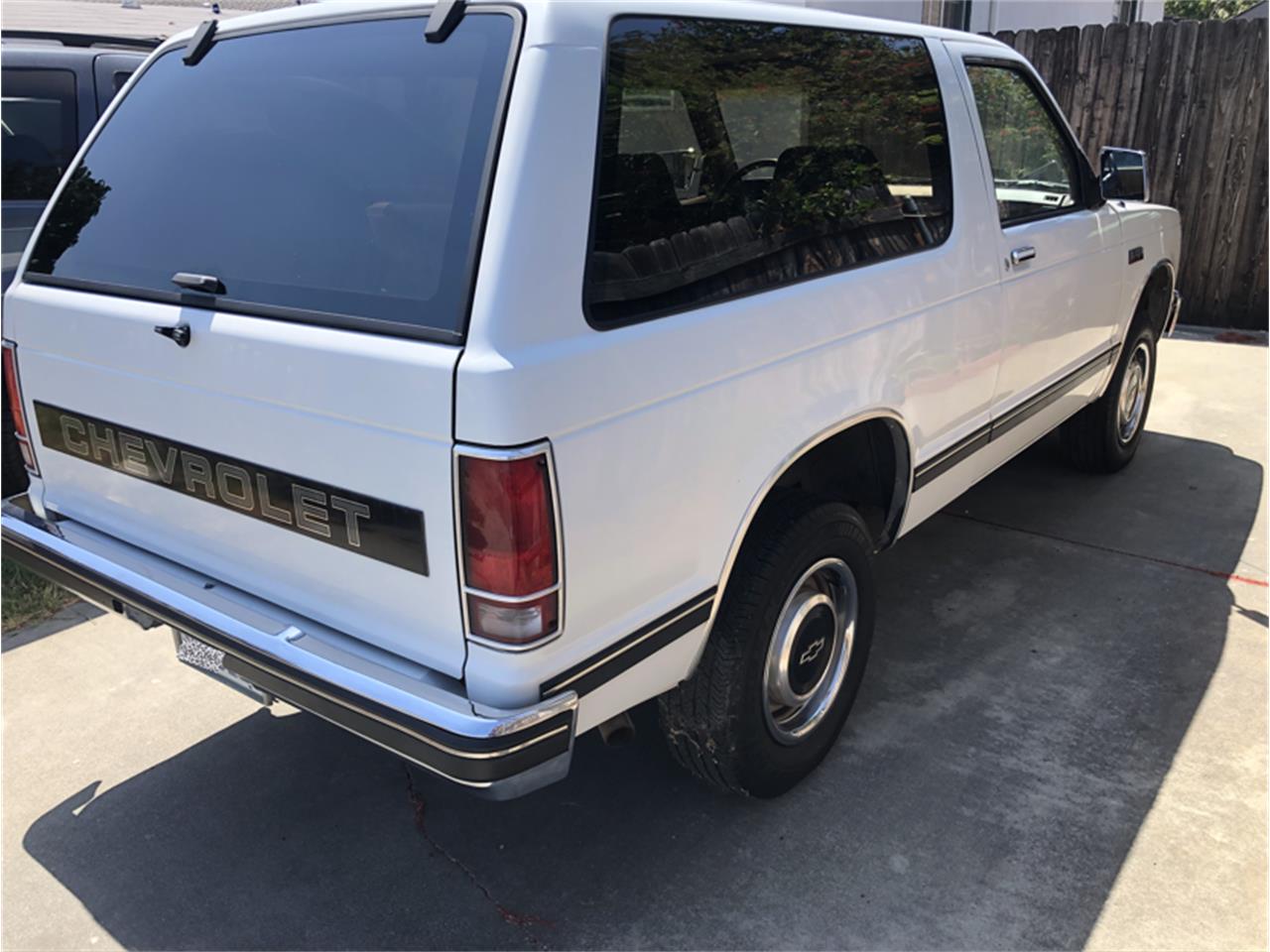 Chevrolet-S10-blazer-1988-White-Beige-4