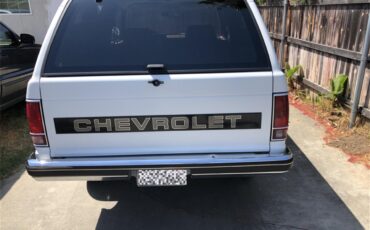 Chevrolet-S10-blazer-1988-White-Beige-5