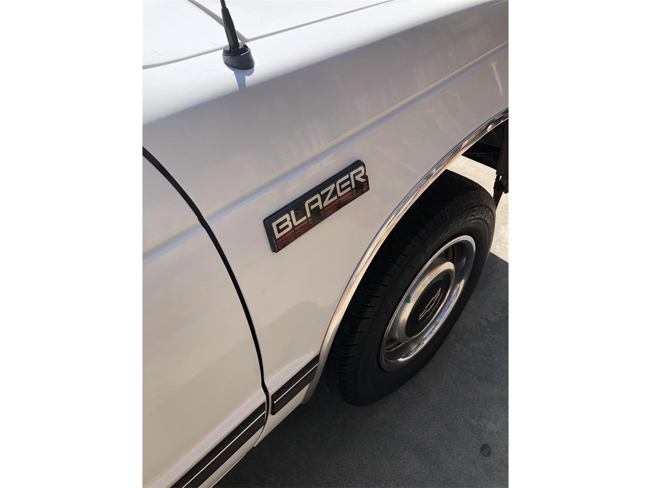 Chevrolet-S10-blazer-1988-White-Beige-6