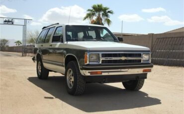 Chevrolet-S10-blazer-1991-2-tone-WhiteGray-Gray-2
