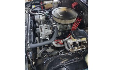 Chevrolet-S10-blazer-1994-Green-Beige-16
