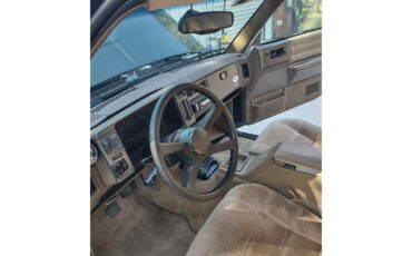 Chevrolet-S10-blazer-1994-Green-Beige-18