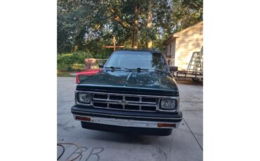 Chevrolet-S10-blazer-1994-Green-Beige