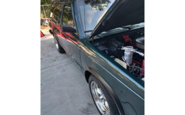 Chevrolet-S10-blazer-1994-Green-Beige-8