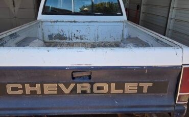Chevrolet-S10-pickup-1989-white-13