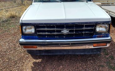 Chevrolet-S10-pickup-1989-white-3