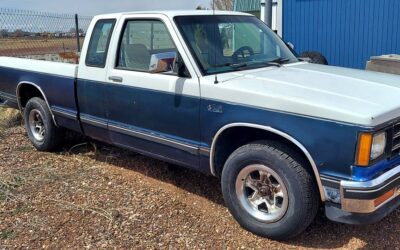 Chevrolet S10 pickup 1989