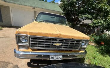 Chevrolet-Scottsdale-1975-yellow-1