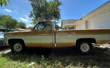 Chevrolet-Scottsdale-1975-yellow-2