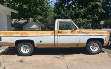 Chevrolet-Scottsdale-1975-yellow