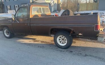 Chevrolet-Scottsdale-1978-Brown-11