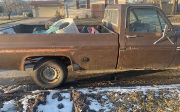 Chevrolet-Scottsdale-1978-Brown-3
