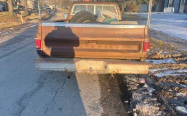 Chevrolet-Scottsdale-1978-Brown