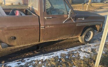 Chevrolet-Scottsdale-1978-Brown-4