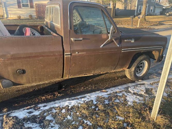 Chevrolet-Scottsdale-1978-Brown-4