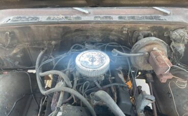 Chevrolet-Scottsdale-1978-Brown-6