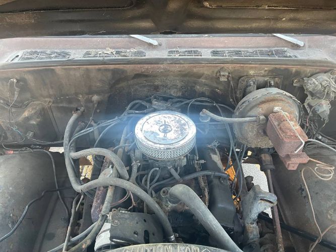 Chevrolet-Scottsdale-1978-Brown-6