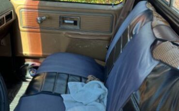 Chevrolet-Scottsdale-1979-11
