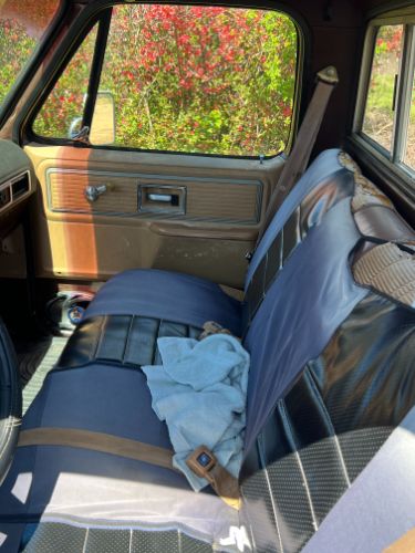 Chevrolet-Scottsdale-1979-11
