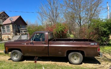 Chevrolet-Scottsdale-1979-3