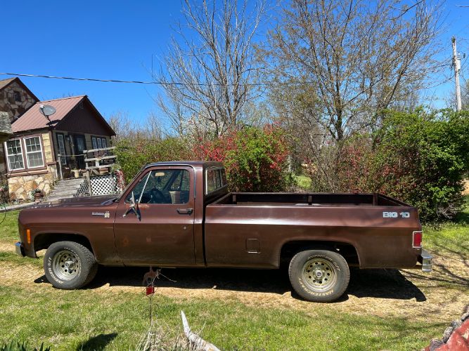 Chevrolet-Scottsdale-1979-3