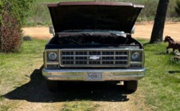 Chevrolet-Scottsdale-1979