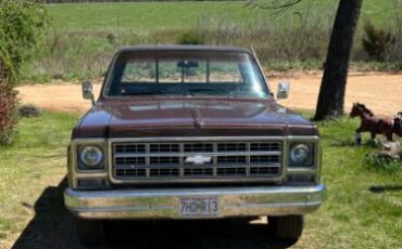 Chevrolet-Scottsdale-1979-4