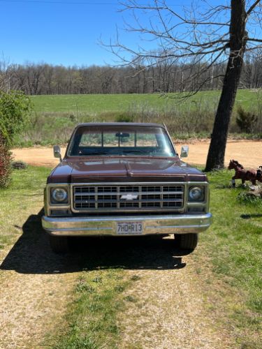 Chevrolet-Scottsdale-1979-4