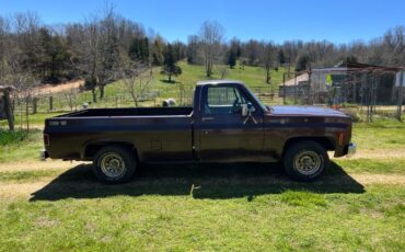 Chevrolet-Scottsdale-1979-9